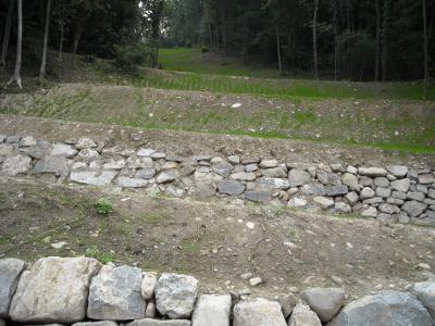 Scogliere